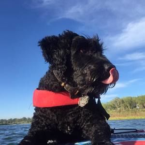 Meet your Posher, Nathaniel